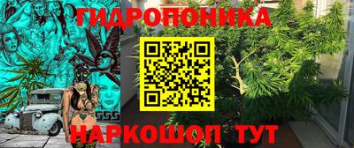 крисы Ярцево