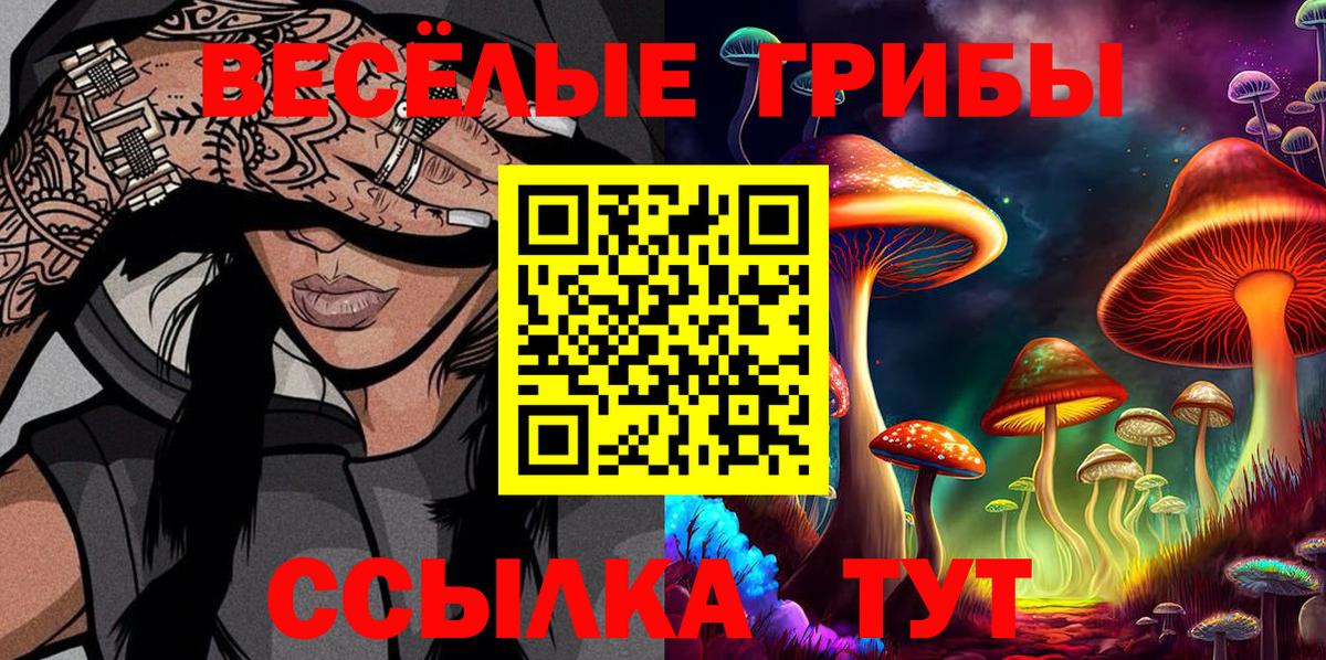 Галлюциногенные грибы мицелий Благодарный