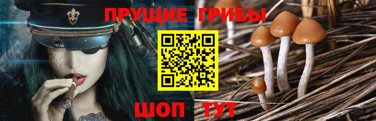 Благодарный  Псилоцибиновые грибы мухоморы  Вход с VPN 